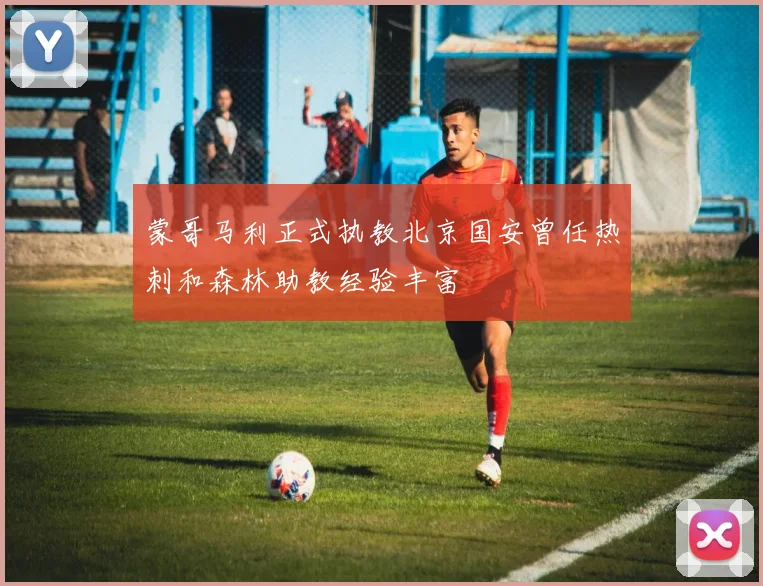 蒙哥马利正式执教北京国安曾任热刺和森林助教经验丰富
