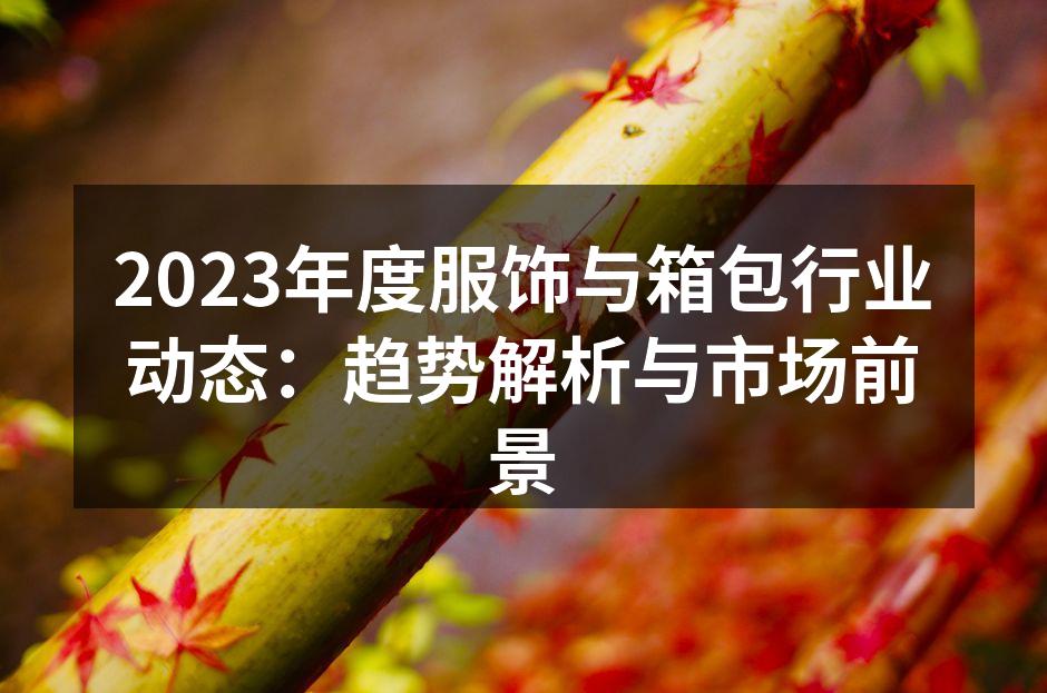2023年度服饰与箱包行业动态：趋势解析